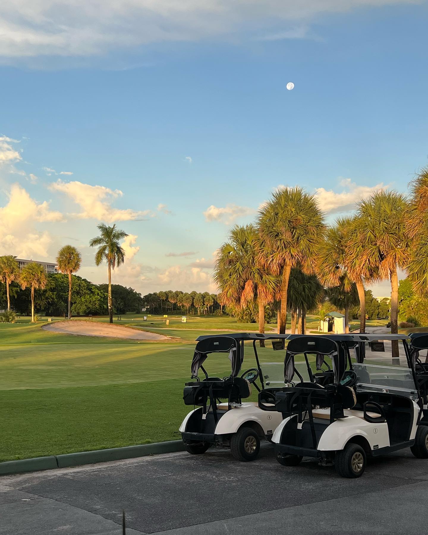 Homes for sale in palm aire