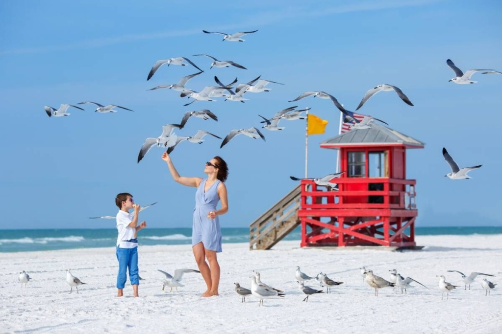 Homes for sale on siesta key