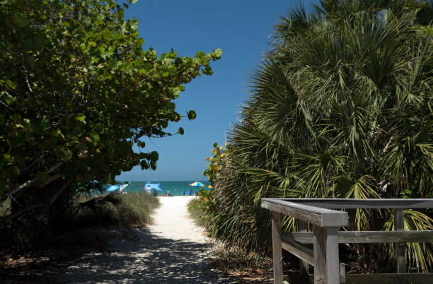 Homes for sale in Nokomis
