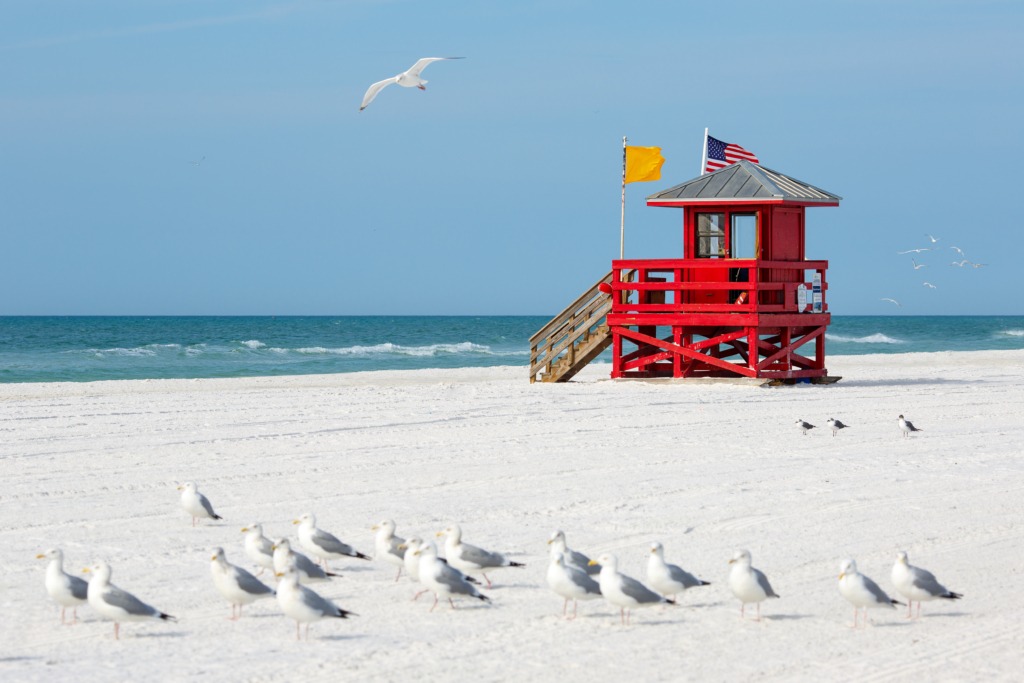 Homes for sale sarasota