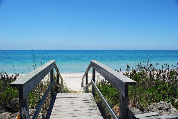 Homes for sale in osprey