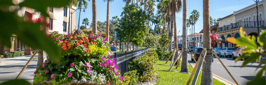 homes for sale in venice fl