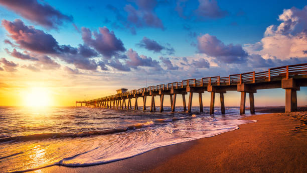 Homes for sale in venice florida