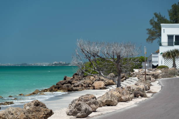 Homes for sale on casey key